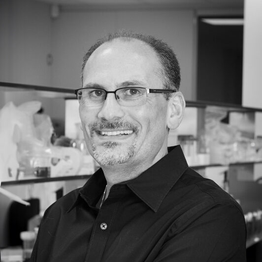 Image of Laurent Sabbagh